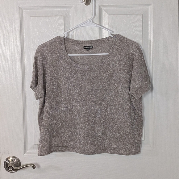 Express Tops - Express Metallic Silver and Gold Sparkly Sheer Mesh Crop‎ Top Size Small